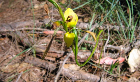 Bangadilly National Park - Accommodation Resorts 2