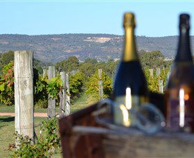 Ugly Duckling Wines - Accommodation Resorts 1