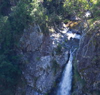 Lyrebird Falls walking track - Accommodation Resorts