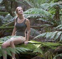 Barrington Tops National Park - Honeysuckle Forest Track - Accommodation Resorts