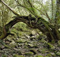 Mitchell River National Park - Accommodation Resorts