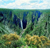 Wollomombi Falls - Accommodation Resorts