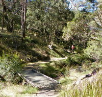 Wollomombi walking track - Accommodation Resorts