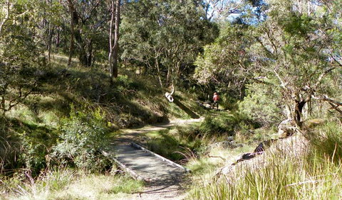 Wollomombi Walking Track - Accommodation Resorts 0