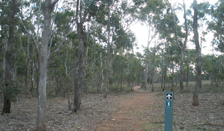 Accommodation Resorts