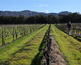 Around Hermitage Wine And Food Trail Hunter Valley - Accommodation Resorts 1