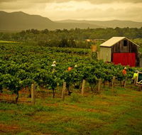 Around Hermitage Wine and Food Trail Hunter Valley - Accommodation Resorts