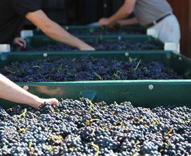 Around Hermitage Wine And Food Trail Hunter Valley - Accommodation Resorts 6
