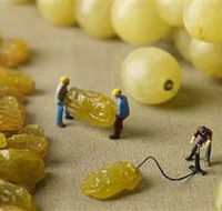 Hunter Valley Wine School - Accommodation Resorts