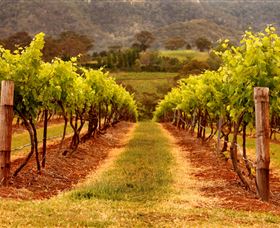 Hunter Valley Wine School - Accommodation Resorts 1