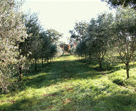 Langdale Farm - Accommodation Resorts