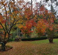 Bellbird Cottage - Accommodation Resorts