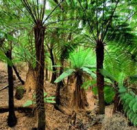Pegarah Private Nature Reserve  Parenna Place - Accommodation Resorts