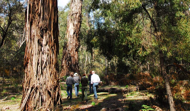 Charleys Forest NSW Accommodation Resorts