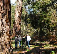 Tallaganda National Park - Accommodation Resorts