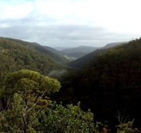 Nattai Gorge Lookout - Accommodation Resorts