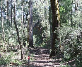 Box Vale Mine Walking Track And Lookout - Accommodation Resorts 0
