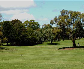 Cooma Golf Club - Accommodation Resorts 1