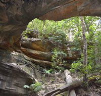 Cave Creek Walking Track - Accommodation Resorts