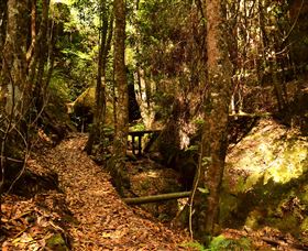 Cave Creek Walking Track - Accommodation Resorts 2
