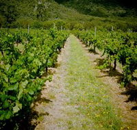 Gartelmann Wines - Accommodation Resorts