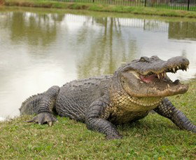 Hunter Valley Zoo - Accommodation Resorts 1