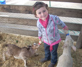 Hunter Valley Zoo - Accommodation Resorts 4