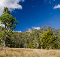 Brush Turkey track - Accommodation Resorts