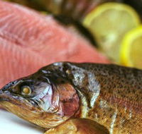 Lovedale Smokehouse Gourmet Pantry Cafe and Masterclasses - Accommodation Resorts