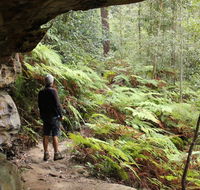 Dharug National Park - Accommodation Resorts