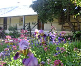 Raglan Gallery And Cultural Centre - Accommodation Resorts 0