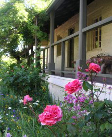 Raglan Gallery And Cultural Centre - Accommodation Resorts 2