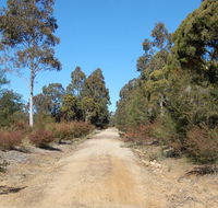 Werakata National Park - Accommodation Resorts