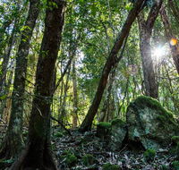 Copeland Tops State Conservation Area - Accommodation Resorts