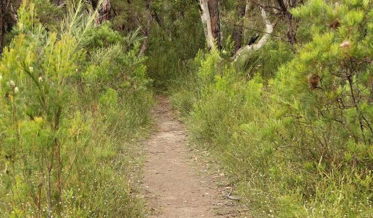 Moollattoo NSW Accommodation Resorts