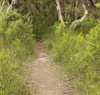 Three Views walking track - Accommodation Resorts
