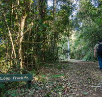 Basin Loop track - Accommodation Resorts