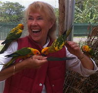 Maleny Botanic Gardens  Bird World - Accommodation Resorts