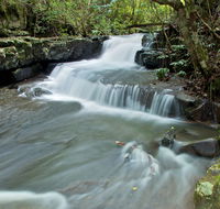 Jerusalem Creek trail - Accommodation Resorts