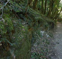Hidden Treasure track - Accommodation Resorts
