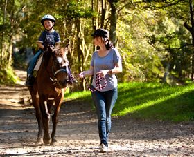 Glenworth Valley Horse Riding - Accommodation Resorts 3