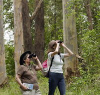 Chichester State Forest - Accommodation Resorts