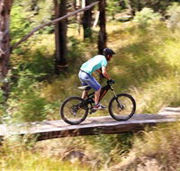 The Steps Mountain Bike Park - Accommodation Resorts