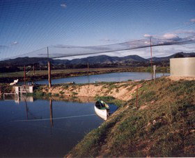 Trudgalong Farm - Accommodation Resorts 1