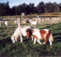 Trudgalong Farm - Accommodation Resorts