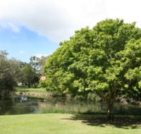 Hervey Bay Botanic Gardens - Accommodation Resorts