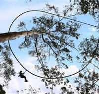 TreeTops Crazy Rider - Accommodation Resorts