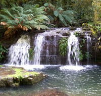 Barrington Tops National Park Walks - Accommodation Resorts