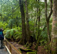 Monga National Park - Accommodation Resorts