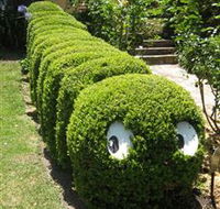 Nutcote - May Gibbs' Home - House Museum - Accommodation Resorts